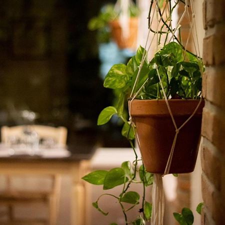 Agricola Casa Cucina Bottega Villa Cesena Kültér fotó