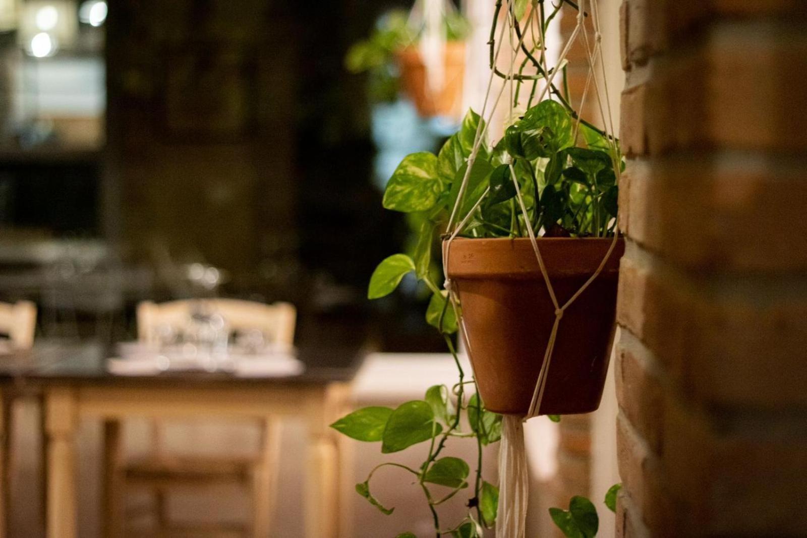 Agricola Casa Cucina Bottega Villa Cesena Kültér fotó