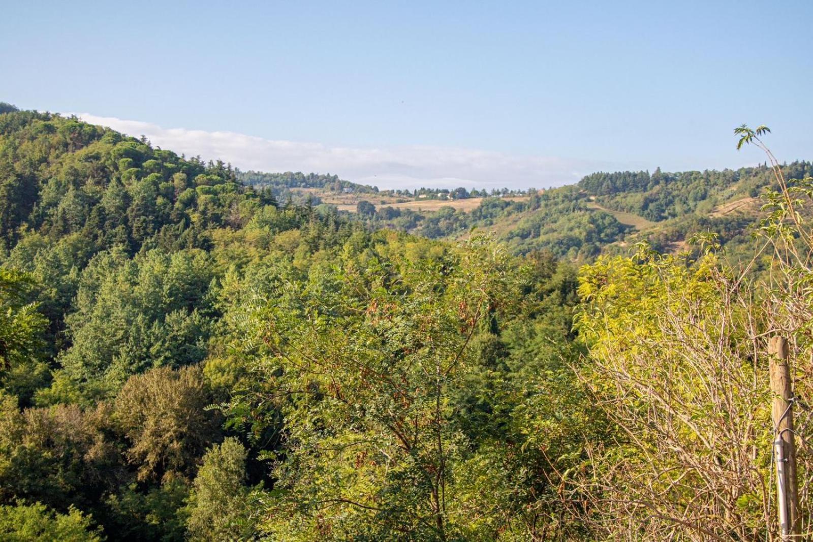 Agricola Casa Cucina Bottega Villa Cesena Kültér fotó