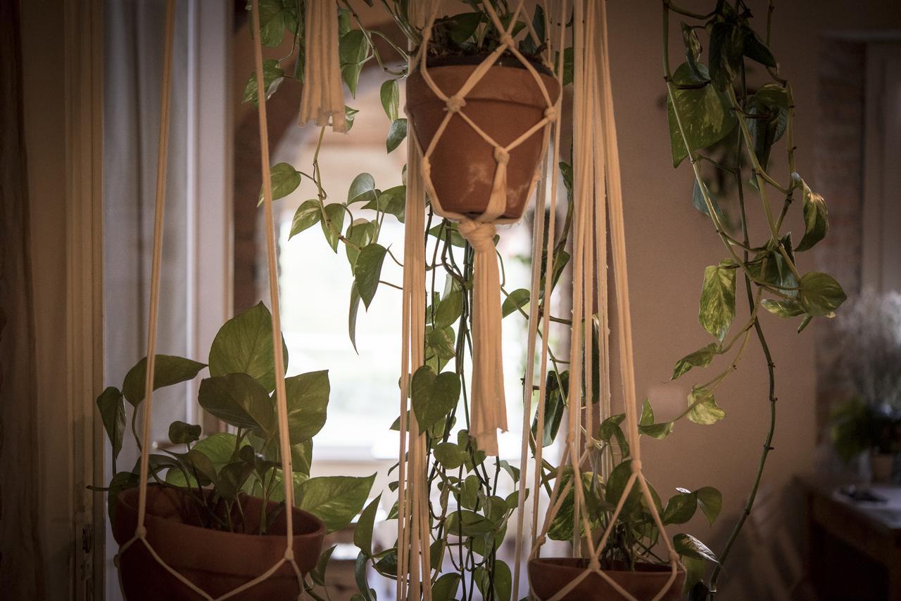 Agricola Casa Cucina Bottega Villa Cesena Kültér fotó