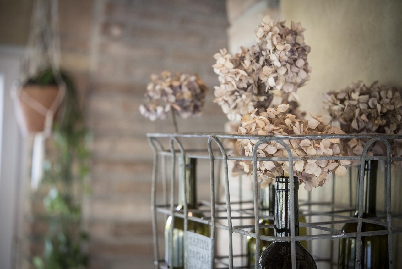 Agricola Casa Cucina Bottega Villa Cesena Kültér fotó